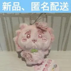 玉井望様 リクエスト 2点 まとめ商品