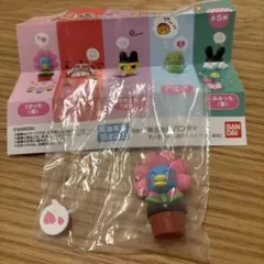 えもふぃぐ！たまごっち くさっち