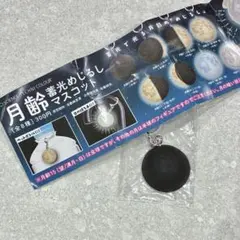 Item thumbnail for item 39cd8bcf-5708-4ae7-b952-5a6570b0dfbb