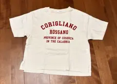 LOWRYSFARM ロゴTシャツ 110-120cmのサムネイル