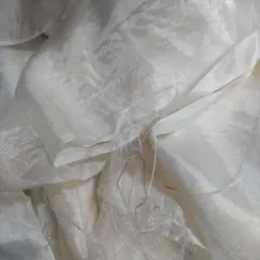 布ー47 4匁羽二重正絹透け感あり