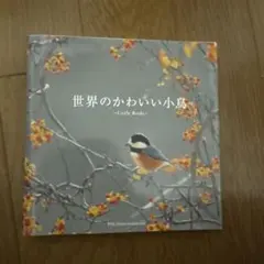 世界のかわいい小鳥 -Little Birds-