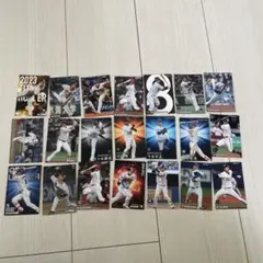 2023年 プロ野球 トレーディングカードセット