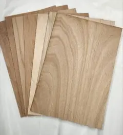 Item thumbnail for item 58a49680-78f9-444f-8fdf-b32dee7520e0