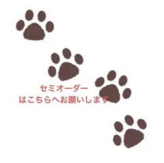 セミオーダー専用
