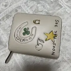 希少】デルヴォー マグリット コレクション レザー コインケース