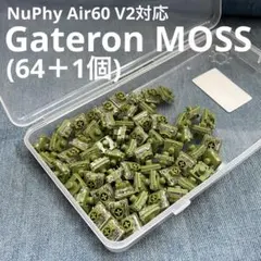【ほぼ未使用】Gateron Moss軸 65個 キースイッチ