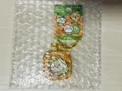 【ちいかわ】北海道限定 ちいかわ ダイカットキーホルダー メロン