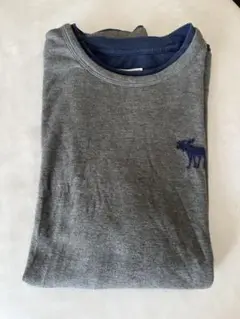 Abercrombie & Fitch 長袖カットソー S グレー