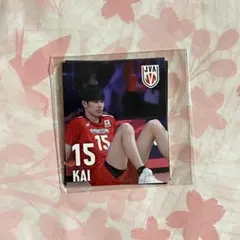 Item thumbnail for item c27066e2-6caa-48cf-b852-fc39312b6c77