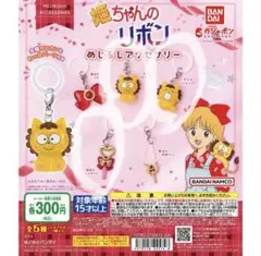 姫ちゃんのリボン めじるしアクセサリー 3個セット