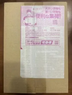 【ポケセン産】ストームエメラルダ シュリンク付き 新品未開封