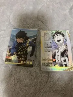 ハイキュー バボカ!!BREAK 影山飛雄 サイン 箔押し 2枚セット