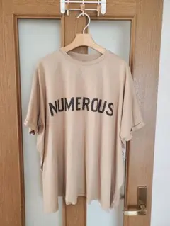 Item thumbnail for item 5152ddb9-1ff6-44dd-a4f6-83b4e0deb9f0