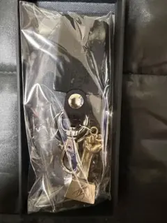 井上尚弥　MONSTER FIST TROPHY KEYCHAIN [DOME] 井上尚弥 MONSTER FIST TROPHY KEYCHAIN [DOME] - メルカリ