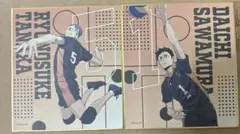 ハイキュー!! 田中龍之介 澤村大地 ミニ色紙