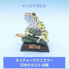 希少【奇譚クラブ】ネイチャーテクニカラー「日本のカエル 初版」イシカワガエルのサムネイル