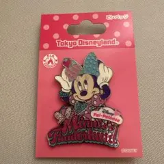 東京ディズニーランド ミニーのファンダーランド ピンバッジ　極美品のサムネイル