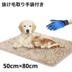 Item thumbnail for item 9d5bac39-70f3-441d-bc44-cb34b9b2cca4