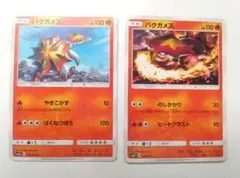 バクガメス カード2枚セット　ポケモンカード　ポケカ