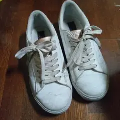 Item thumbnail for item 2a6b4820-fac4-4a4e-8a69-54c2c06c46ae