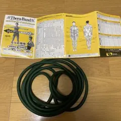 Thera-Band 緑 トレーニングチューブ エクササイズガイド付き