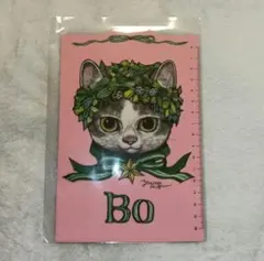 ヒグチユウコ ボリス雑貨店 手帳用 下敷き Bo RIBBON リボン