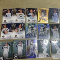 Item thumbnail for item 2ecc43be-4736-4519-8608-330b44cfa708