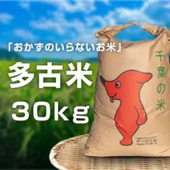 2026年最新】米 30キロ コシヒカリの人気アイテム - メルカリ