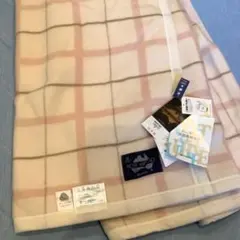 Item thumbnail for item 2a5bc65d-fe2b-45b0-9a22-79b010a9f3fb