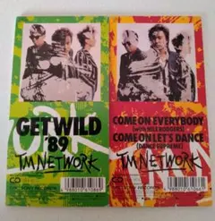 TM NETWORK GET WILD / COME ON EVERYBODY