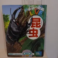 【DVD付】昆虫 (学研の図鑑LIVE) 3歳~小学生向け 図鑑