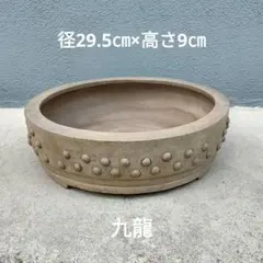 秀峰 楕円 太鼓 盆栽鉢 やや大きめ - メルカリ