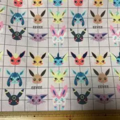 くすみピンク　イーブイ　はぎれ　生地　布