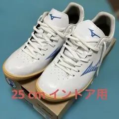 ミズノ　モナルシーダネオ　クラブ　インドア　25cm