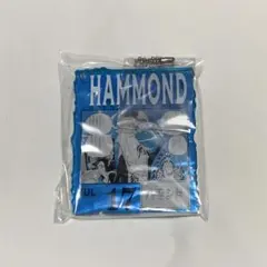 ONE PIECE BASE SHOP くじ アクリルブロックチャーム ハモンド