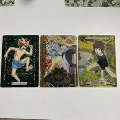 家庭教師ヒットマンREBORN！ サザンクロスバトル 沢田綱吉 3枚セット