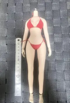 1/6 Tbleague 風シームレスボディ素体 ANT T302 pale