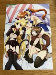 リリカルなのは　君が主人で　かのこん　ダ・カーポ　逮捕しちゃうぞ　ポスター