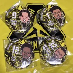 群馬クレインサンダーズ 缶バッジセット辻直人選手他