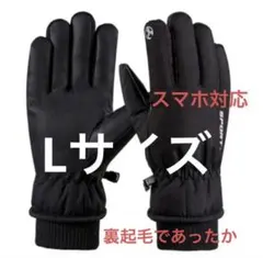 Item thumbnail for item 7b089aba-df43-4e24-b2d9-2d9a3ffd5be2