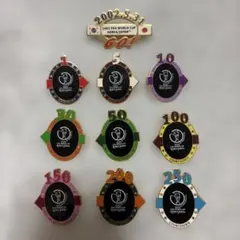 兼八 2010 FIFAワールドカップ 記念ボトル 完全限定品 本日お値下げ