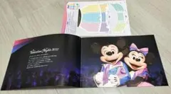 ディズニーシー　バレンタイナイト2013 パンフレット　ミッキー　ミニー 1冊