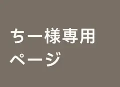 ちー様専用ページ