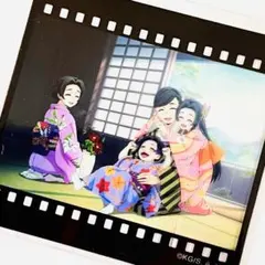 鬼滅の刃 お楽しみくじ フィルム風 クリアカード 胡蝶しのぶ カナエ