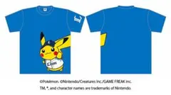 2026年最新】Pokemon チーム(球団)名：埼玉西武ライオンズ 野球 応援
