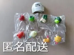 お弁当フレンズ 4点セット セミコンプ