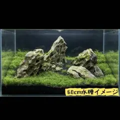 黄虎石　まとめ売り 2026年最新】黄虎石の人気アイテム - メルカリ
