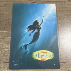✨週末セール✨ ❤️おまけ付き❤️リトルマーメイド　ポストカード　ディズニー
