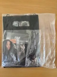 IVE京セラ WORLD TOUR 2026 4月18日VIP特典　新品未開封